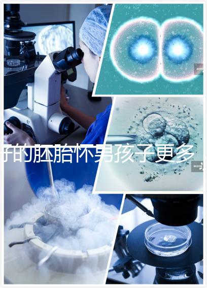 好的胚胎懷男孩子更多,驚呀!什么時候質(zhì)量決定性別了