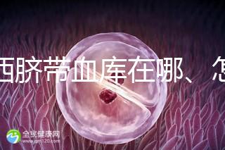 山西臍帶血庫在哪、怎么保存答案在這，太原存20年費用竟…