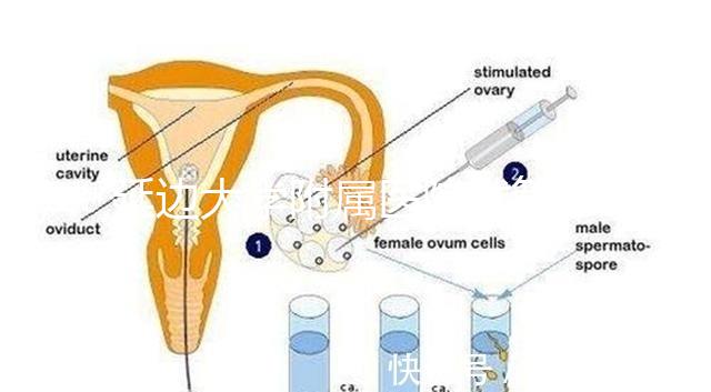 延邊大學附屬醫院試管怎么樣，助孕成功率、收費目錄表奉上