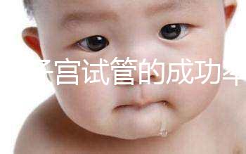 弓形子宮試管的成功率在這里有多少答案？這樣做著床并不難