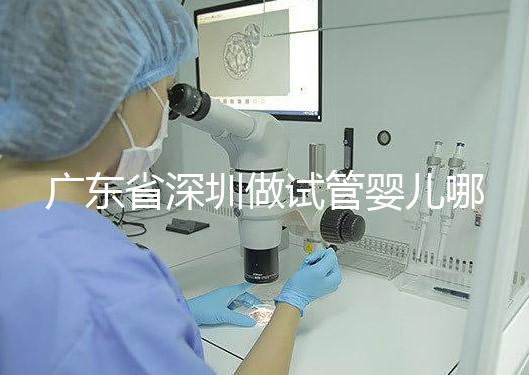 廣東省深圳做試管嬰兒哪里好？盤點(diǎn)成功率最高的醫(yī)院排名