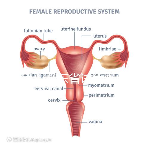 重磅！廣東省試管嬰兒納入醫保報銷 10.1執行（附政策解讀）