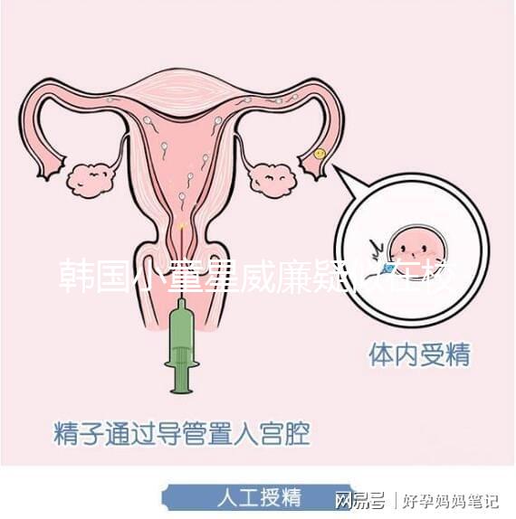韓國小童星威廉疑似在校被霸凌？父親Sam辟謠：凹高冷人設