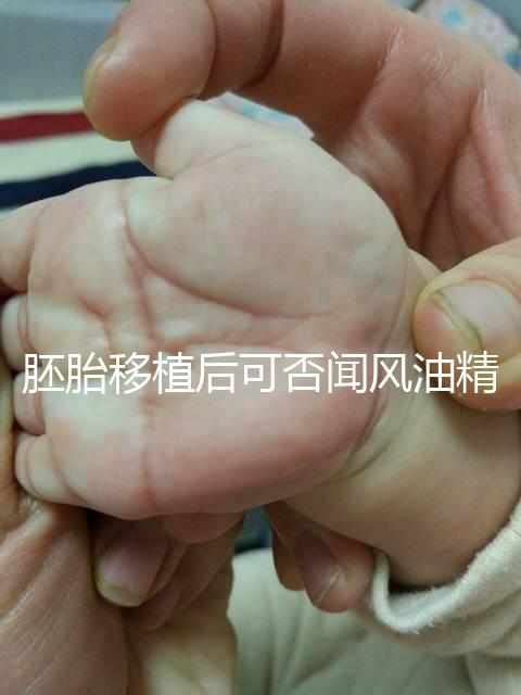 胚胎移植后可否聞風油精速覽，導致著床失敗真不是鬧著玩