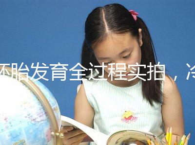 胚胎發(fā)育全過程實(shí)拍,冷凍胚胎移植后著床圖解(視頻)