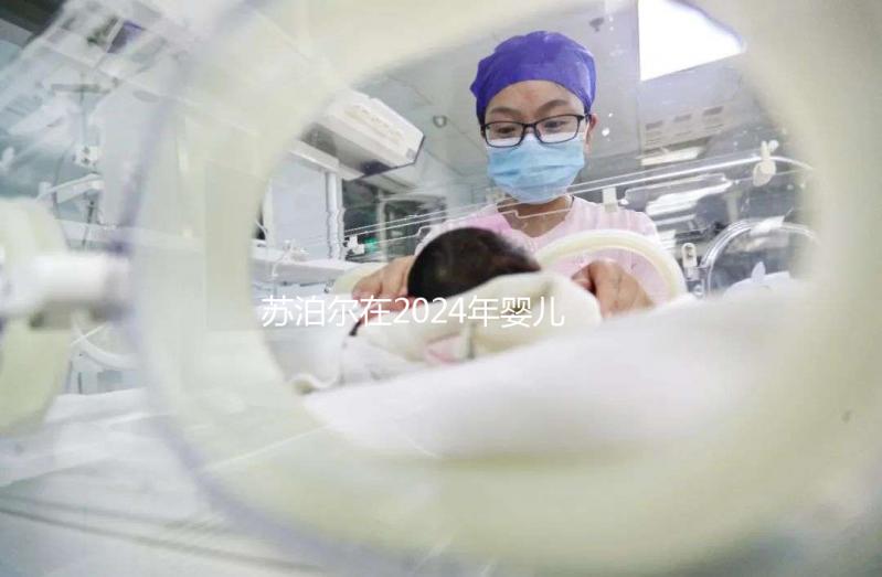 蘇泊爾在2024年嬰兒輔食機十大品牌中排名第一