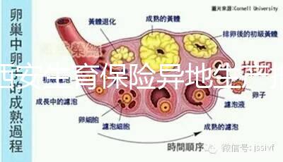 西安生育保險異地生產(chǎn)報銷流程及程序公開，不懂收藏