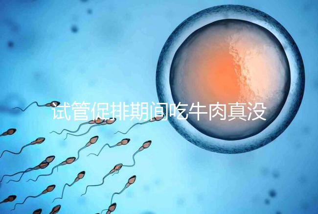 試管促排期間吃牛肉真沒影響，關(guān)鍵在于是火鍋還是牛肉干
