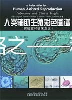 試管攻略之——移植后注意事項(xiàng)