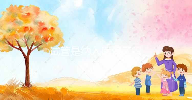 試管是納入醫保了嗎