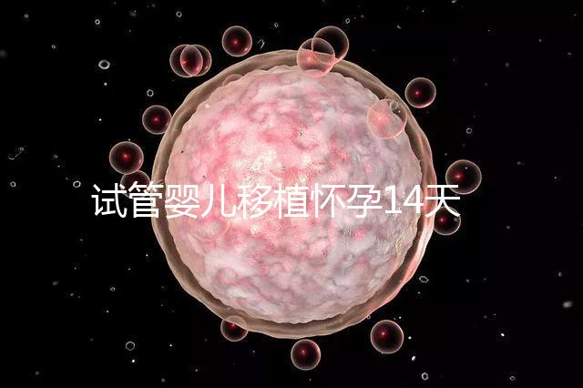 試管嬰兒移植懷孕14天，還能吃巧克力餅干嗎？