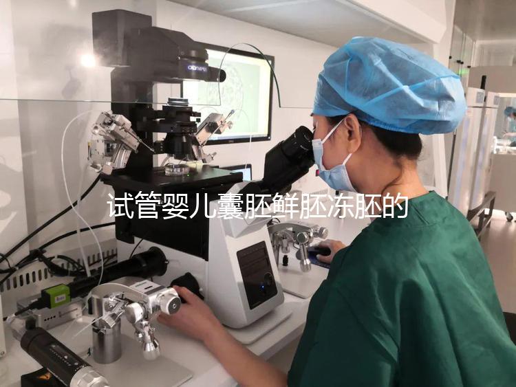 試管嬰兒囊胚鮮胚凍胚的區別是什么？鮮胚移植VS凍胚移植，哪個成功率高？