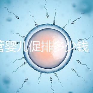 試管嬰兒促排多少錢（試管和促排哪個(gè)傷害小）