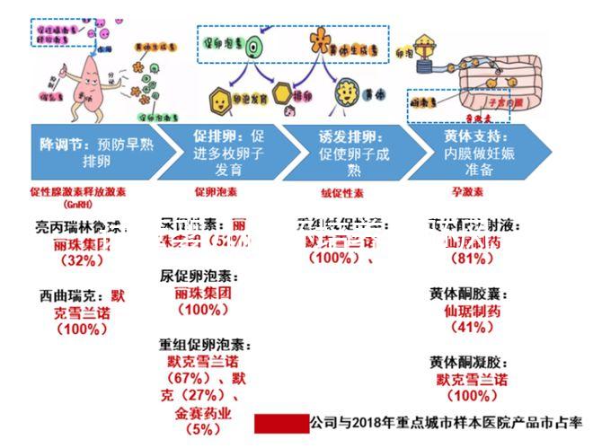 試管嬰兒優(yōu)胚培養(yǎng)囊胚風(fēng)險特別大,逃不掉這3大原因