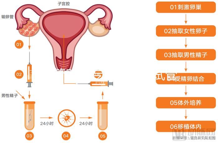 試管嬰兒專家醫院(試管嬰兒專家醫院排名)