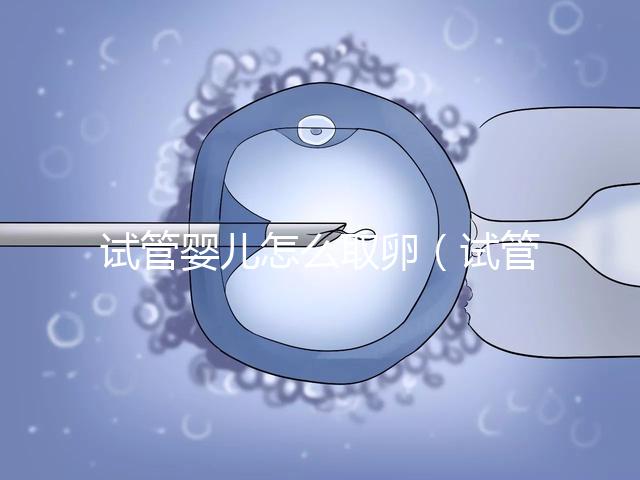 試管嬰兒怎么取卵（試管嬰兒怎么取卵過程視頻）