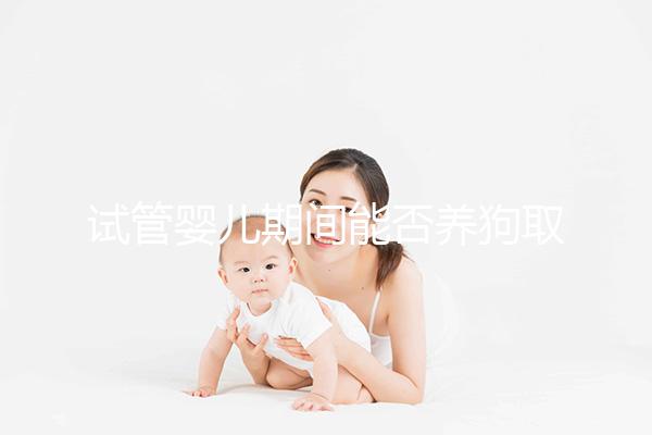試管嬰兒期間能否養狗取決于情況,醫生:確保安全是前提