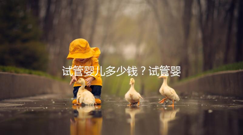 試管嬰兒多少錢？試管嬰兒三大階段收費明細