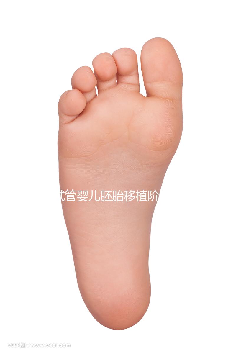 試管嬰兒胚胎移植階段需要具備哪些條件？