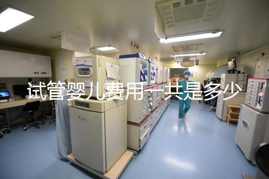 試管嬰兒費(fèi)用一共是多少(試管嬰兒費(fèi)用一共是多少錢(qián))