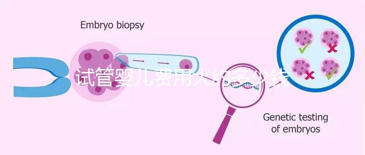 試管嬰兒費(fèi)用大約多少錢(泰國(guó)試管嬰兒費(fèi)用大約多少錢)
