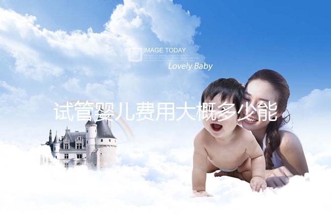 試管嬰兒費用大概多少能出來報銷(試管嬰兒費用大概多少能出來報銷醫(yī)保)