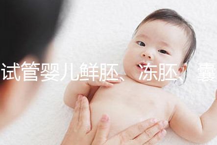 試管嬰兒鮮胚、凍胚、囊胚移植區(qū)別，看完秒懂怎么選