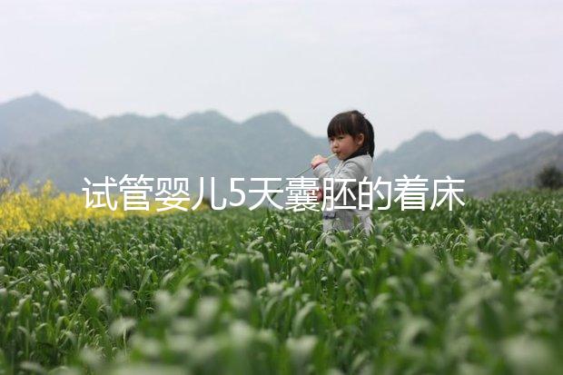 試管嬰兒5天囊胚的著床過(guò)程(附視頻)