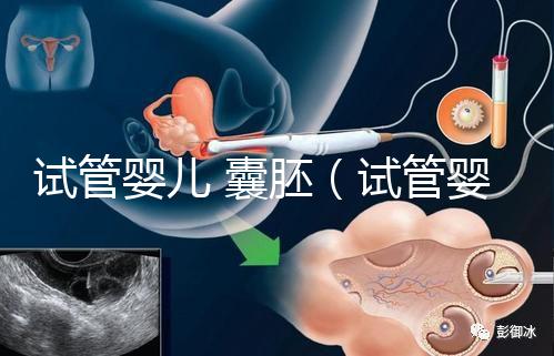 試管嬰兒 囊胚(試管嬰兒囊胚質(zhì)量等級(jí))