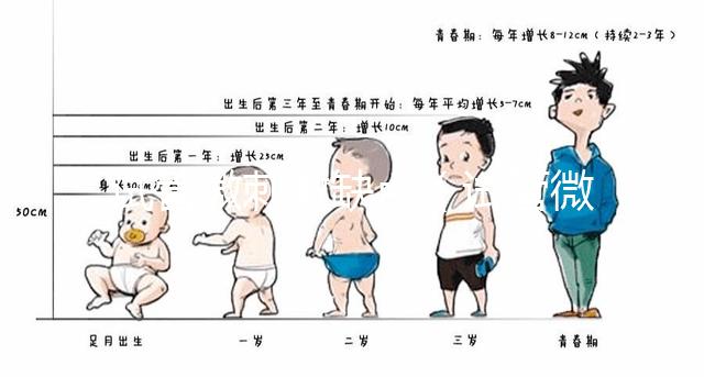 試管微刺激缺點(diǎn)(試管微刺激方案的優(yōu)勢)