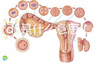 試管d3是什么意思(d3凍胚是優胚嗎)