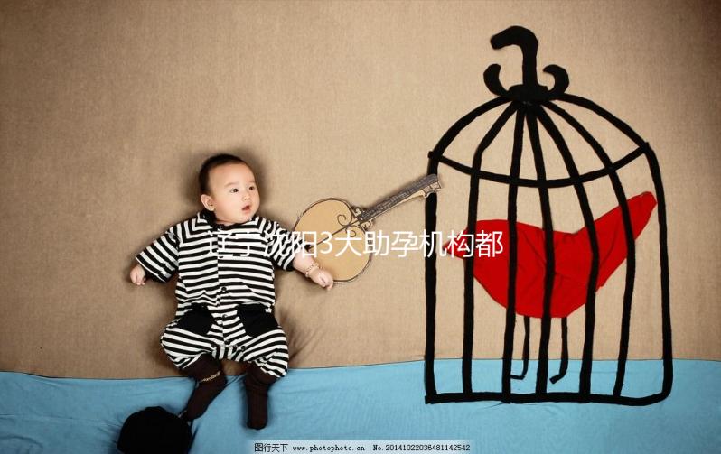 遼寧沈陽(yáng)3大助孕機(jī)構(gòu)都在這,來(lái)看看你知道幾家