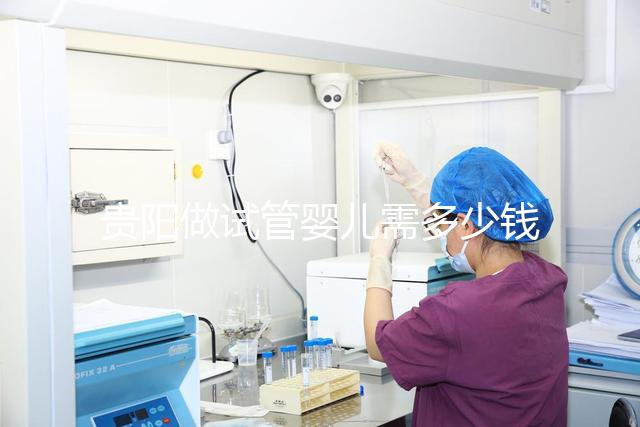 貴陽(yáng)做試管嬰兒需多少錢?姐妹們都在哪些醫(yī)院做試管