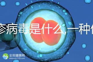 風疹病毒是什么,一種僅限人類之間傳染的病毒