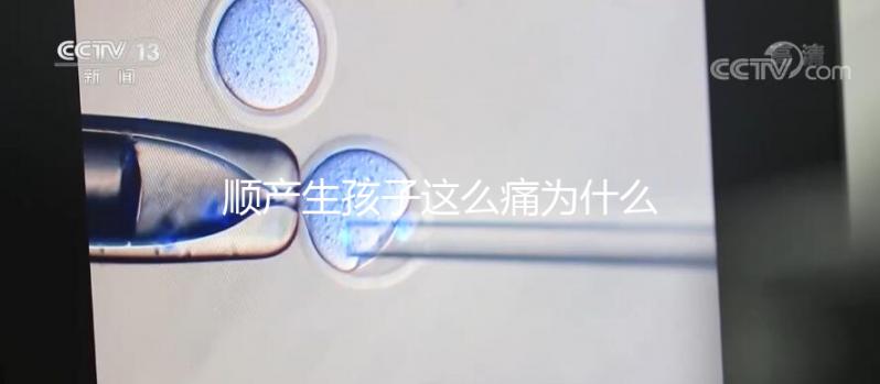 順產生孩子這么痛為什么大家能忍,這些真相非常戳心