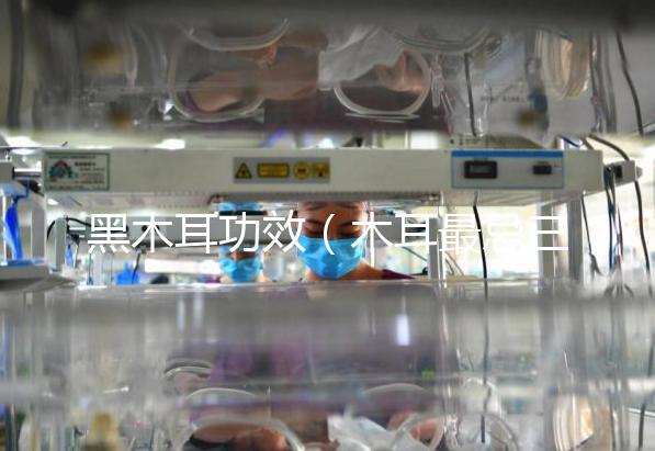 黑木耳功效（木耳最忌三種菜）