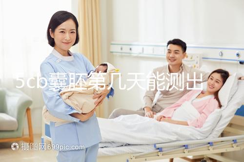 5cb囊胚第幾天能測出看移植成功后續發育怎么樣，不懂戳