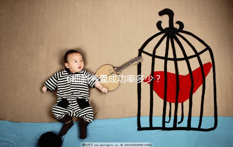 6細(xì)胞養(yǎng)囊成功率多少?不應(yīng)以“質(zhì)量”論結(jié)果