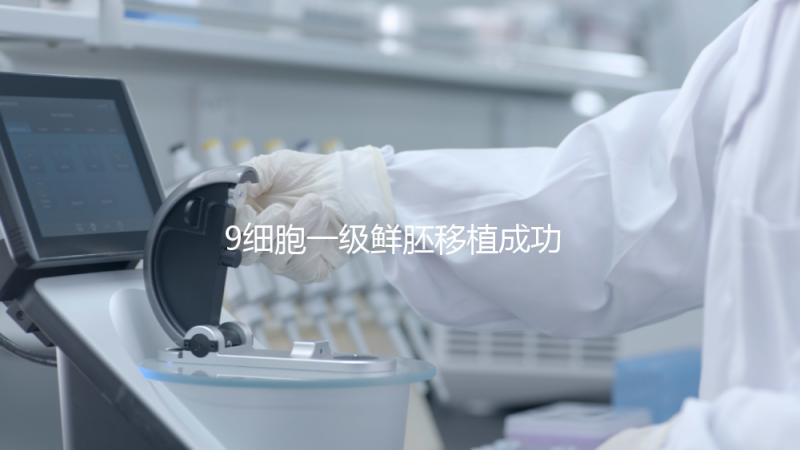 9細胞一級鮮胚移植成功率分析，和8細胞2級相比略遜一籌