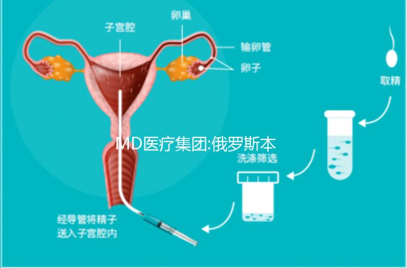 MD醫(yī)療集團(tuán):俄羅斯本土已上市的一家母嬰醫(yī)療機(jī)構(gòu)