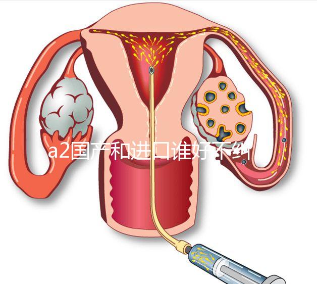 a2國產(chǎn)和進(jìn)口誰好不糾結(jié),看配方、口感、價格對比再選
