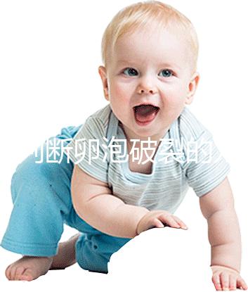 b超判斷卵泡破裂的方法都out了!彩超數據顯示更直觀