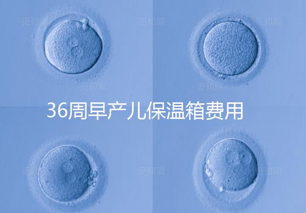 36周早產兒保溫箱費用整理，12天到4斤花不了多少錢