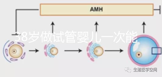 38歲做試管嬰兒一次能成功嗎?提前準備好這4點或許可以
