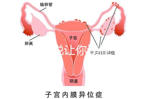 1分鐘解說讓你讀懂,排卵試紙白板一根線等各個反應