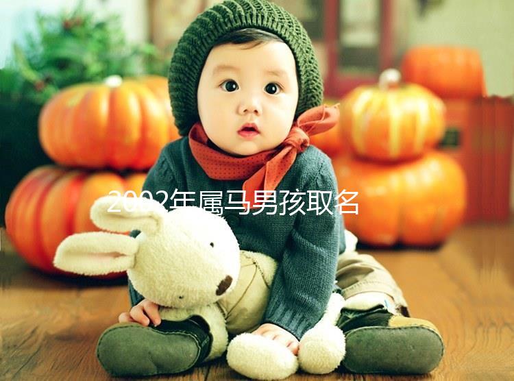2002年屬馬男孩取名，經典又大氣
