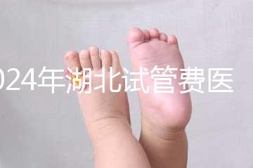 2024年湖北試管費(fèi)醫(yī)療保險(xiǎn)可以報(bào)銷(xiāo)？專(zhuān)家：時(shí)間還沒(méi)到？