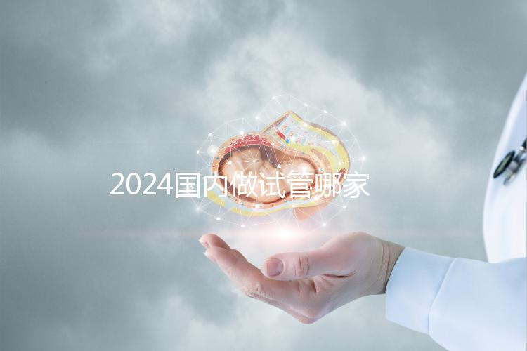 2024國內(nèi)做試管哪家醫(yī)院成功率最高？附排行榜前十名醫(yī)院推薦