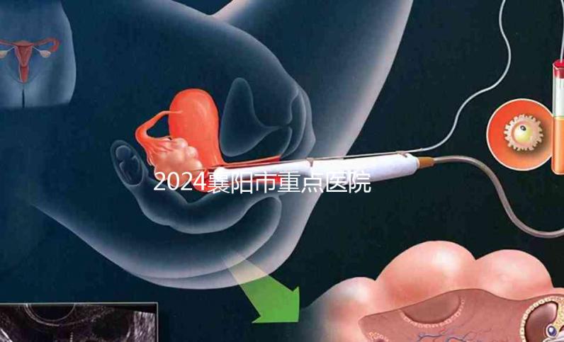 2024襄陽(yáng)市重點(diǎn)醫(yī)院試管嬰兒費(fèi)用明細(xì)，各項(xiàng)收費(fèi)標(biāo)準(zhǔn)已列出