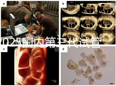 2025國內(nèi)第三代試管嬰兒醫(yī)院排名前十強(qiáng)公布(附地址)